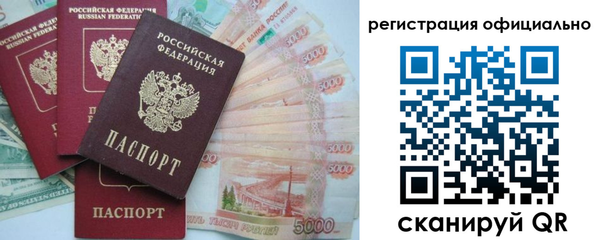 прописка для школы в Плавске